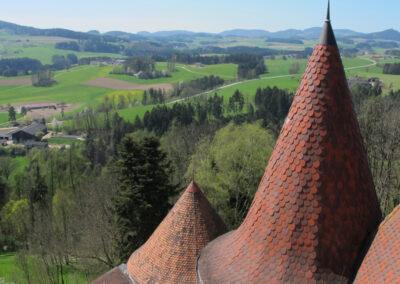 Blick vom Schlossturm Schloss Weinberg auf huegelige Landschaft des Muehlviertels
