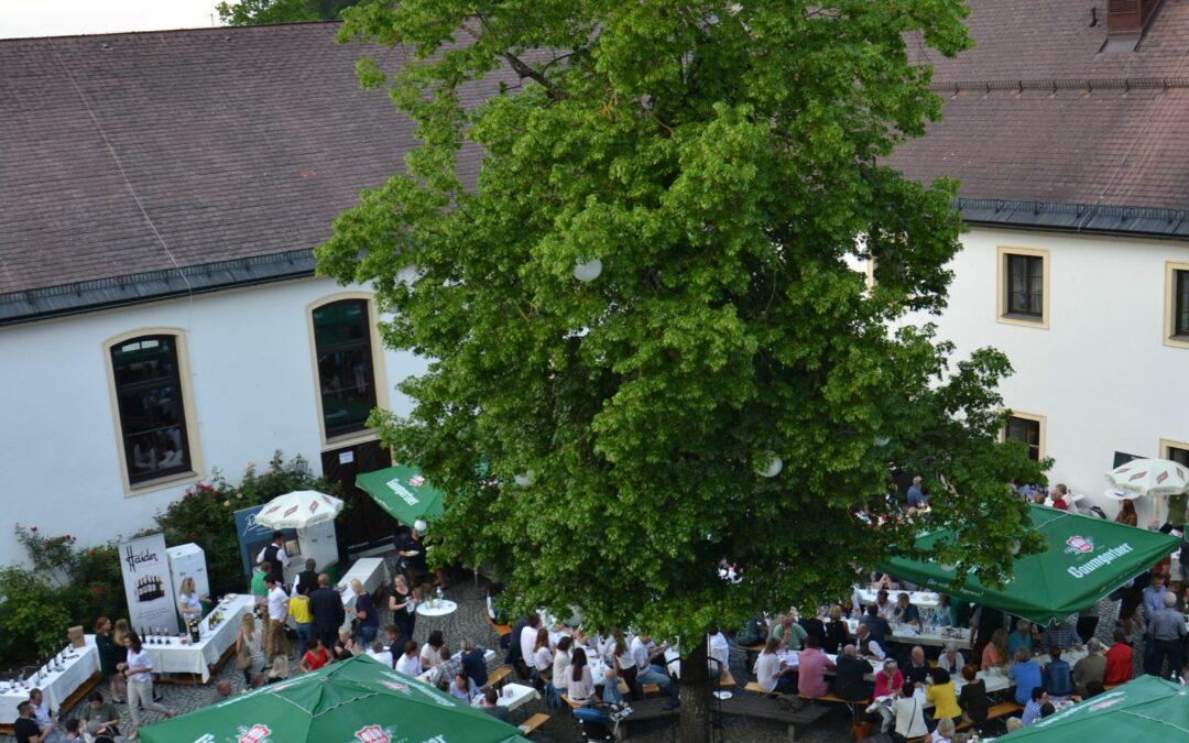 13. Wein-Erlebnis