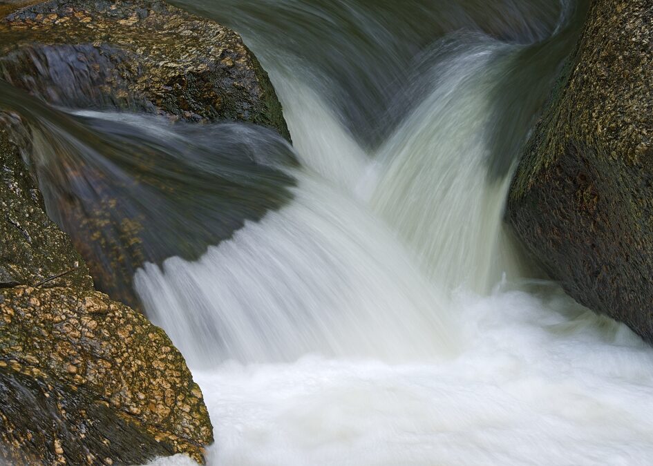 Naturfotografie im Mühlviertel